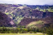 Verdant Valleys: Colombia's Highland Tapestry