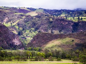 Verdant Valleys: Colombia's Highland Tapestry