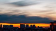 City Silhouettes: Nature's Diverse Display