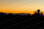 Atlas Twilight: Marrakech Mirage