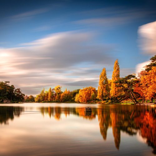 Vincennes Veil: Autumn Reflections