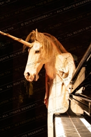 ForainFairMuseum_038