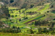Verdant Vistas: Colombia's Agricultural Mosaic