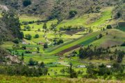 Verdant Vistas: Colombia's Agricultural Mosaic