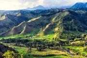 Emerald Escarpments: Colombia's Living Hills