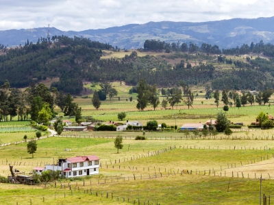 Scenic farmland with a white house and fenced fields