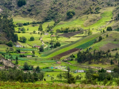 Verdant Vistas: Colombia's Agricultural Mosaic
