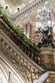 Floral Ascendancy