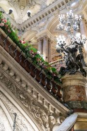 Floral Ascendancy