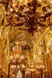 Gilded Elegance