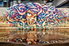 Reflections of a Dream in Color