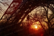Sunset silhouette of the Eiffel Tower framed by bare trees