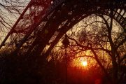 Sunset silhouette of the Eiffel Tower framed by bare trees