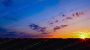 Dusk's Serenade