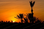 Marrakech Sunset Silhouettes