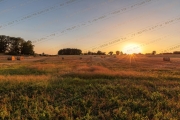 Harvest's End Glow