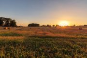 Harvest's End Glow