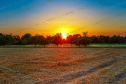 Golden Hour Serenity