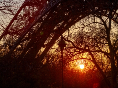 Sunset silhouette of the Eiffel Tower framed by bare trees
