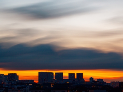 City Silhouettes: Nature's Diverse Display