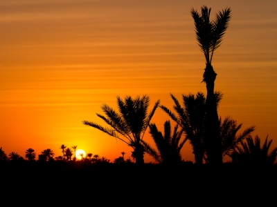 Marrakech Sunset Silhouettes