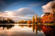 Vincennes Veil: Autumn Reflections