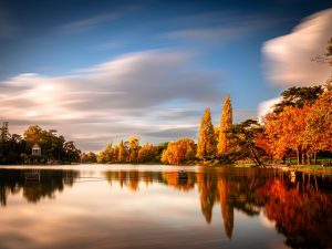 Vincennes Veil: Autumn Reflections Vincennes Veil: Autumn Reflections