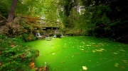 Vincennes' Verdant Waterfall