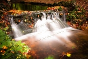 Murmur of the Autumn Brook