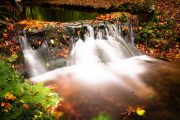 Murmur of the Autumn Brook