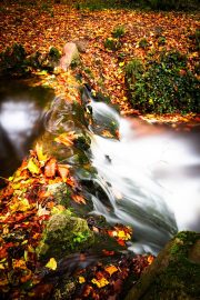 Autumn's Silken Waters