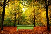 Autumn Serenade