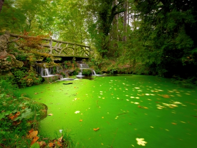 Vincennes' Verdant Waterfall