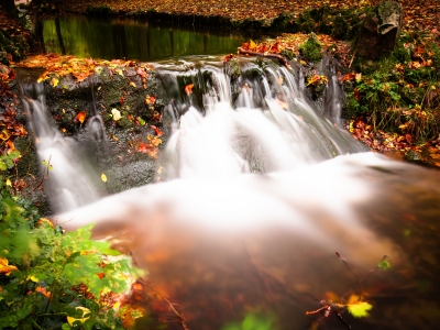 Murmur of the Autumn Brook