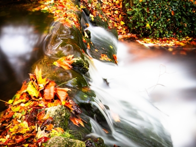 Autumn's Silken Waters