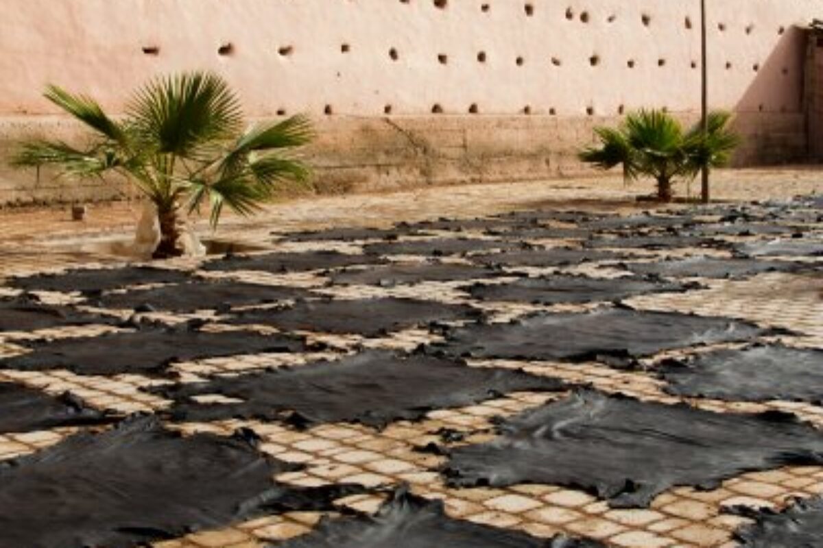 The Tanneries of Marrakech: A Glimpse Beyond Tourism