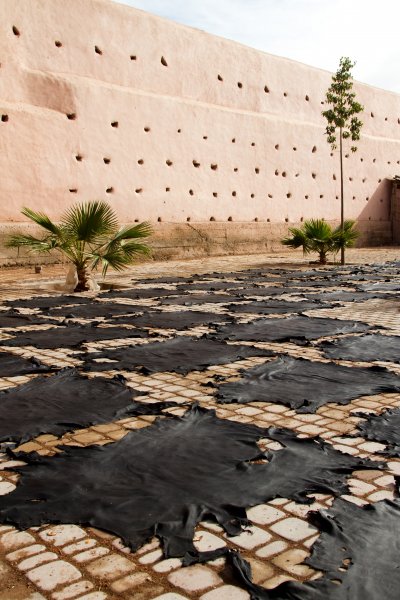 The Tanneries of Marrakech: A Glimpse Beyond Tourism