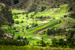 Verdant Vistas: Colombia's Agricultural Mosaic