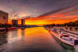 Fiery Canopy over the Seine
