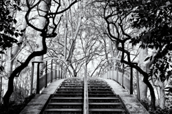 Monochrome Mystique at Parc de Bercy
