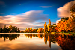 Timeless Serenity: Lac de Vincennes
